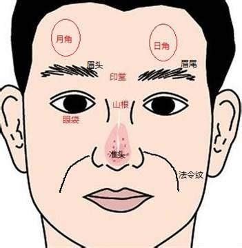 圓額頭|面相額頭看你是否有富貴命